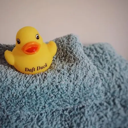 Tudor Cottage, Newby Bridge 阿尔弗斯顿